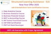 Best Accounting Course in Delhi, “Learn Direct Tax Code 2025” 110027, Get Valid Certification by SLA Accounting Institute, GST and ERP Tally Prime Institute in Delhi, Noida, “Free SAP FICO till 31 Jan 2025” [ Learn New Skills of Accounting & Finance for 100% Job] in PNB Bank.