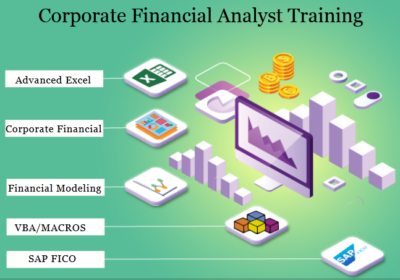 Screenshot-Finanacial-Analyst-Delhi