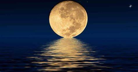 +27833895606 Trusted Traditional Healer in Polokwane|Pretoria|Soweto|Tembisa|Hammanskraal|Shoshanguve|