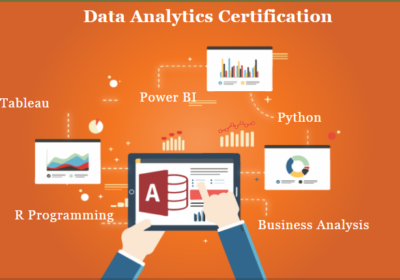 Data-Analytics-Course-in-Laxmi-Nagar-Delhi-1-1