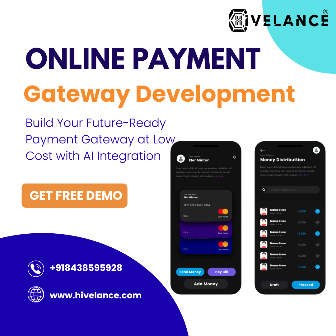 Custom Online Payment Gateway Development Solutions – Hivelance