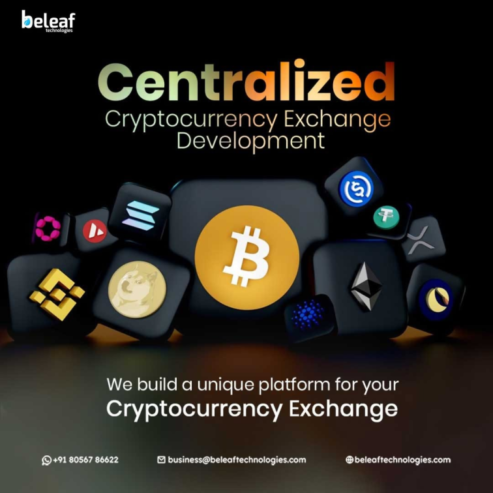 Next-Gen Centralized Crypto Exchange Development for Businesses