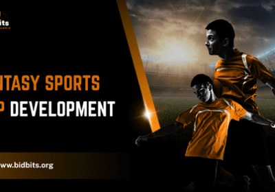 Fantasy_Sports_App_Development_optimized_290