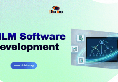 MLM_Software_Development_optimized_290