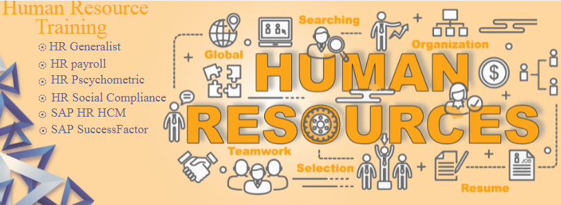 Why Choose an HR Training Institute in Delhi for Practical Human Resource Skills with Free SAP HCM, HR Analytics with AI, Talent Acquisition and Payroll Training by SLA Consultants India?